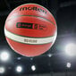 Molten Basketbols B7G4500-PL цена и информация | Basketbola bumbas | 220.lv