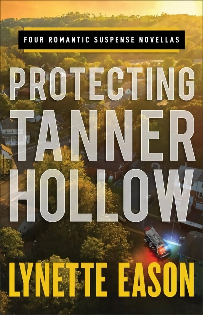 Protecting Tanner Hollow: Four Romantic Suspense Novellas cena un informācija | Fantāzija, fantastikas grāmatas | 220.lv
