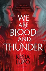 We Are Blood And Thunder cena un informācija | Fantāzija, fantastikas grāmatas | 220.lv