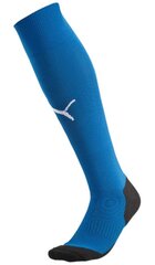 Спортивные носки Puma, синие цена и информация | Мужские носки | 220.lv