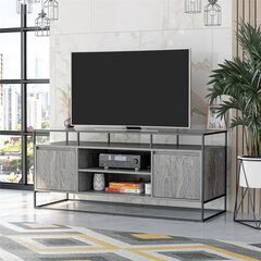 ТВ столик Dorel Home Camley, серый цена и информация | Тумбы под телевизор | 220.lv