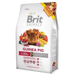 Brit Animals Guinea Pig полноценный корм для морских свинок 1,5 кг цена и информация | Brit Товары для животных | 220.lv
