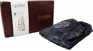 Harry Potter Deluxe Invisibility Cloak Illusion цена и информация | Атрибутика для игроков | 220.lv
