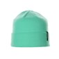 Huppa mazuļa cepure Ever 94450000*20026, piparmētra cena un informācija | Cepures, cimdi, šalles meitenēm | 220.lv