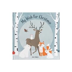 My Wish For Christmas cena un informācija | Grāmatas mazuļiem | 220.lv