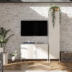 Шкаф Dorel Home Evolution, белый цена и информация | Шкафчики в гостиную | 220.lv