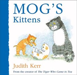 Mog's Kittens цена и информация | Книги для малышей | 220.lv