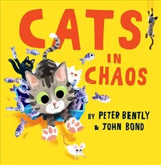 Cats in Chaos цена и информация | Книги для самых маленьких | 220.lv