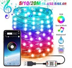 Dekoratīva LED virtene 10M 100 LED + BLUETOOTH, RGB цена и информация | Гирлянды | 220.lv