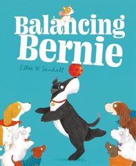 Balancing Bernie цена и информация | Книги для малышей | 220.lv