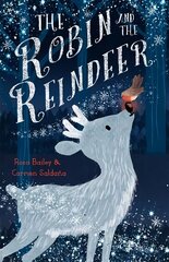 Robin and the Reindeer цена и информация | Книги для малышей | 220.lv