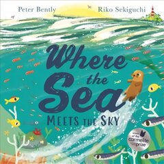 Where the Sea Meets the Sky цена и информация | Книги для малышей | 220.lv