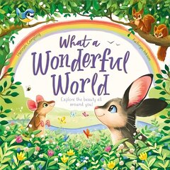 What a Wonderful World cena un informācija | Grāmatas mazuļiem | 220.lv