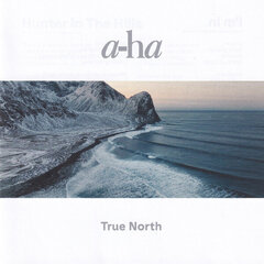 CD A-HA "True North" cena un informācija | Vinila plates, CD, DVD | 220.lv