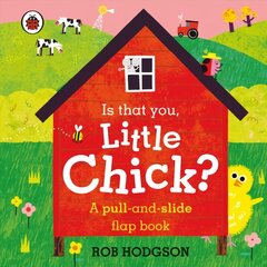 Is that you, Little Chick?: A pull-and-slide flap book цена и информация | Книги для малышей | 220.lv