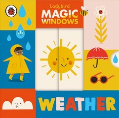 Magic Windows: Weather цена и информация | Книги для малышей | 220.lv