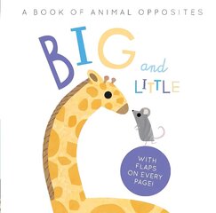 Big and Little: A Book of Animal Opposites cena un informācija | Grāmatas mazuļiem | 220.lv