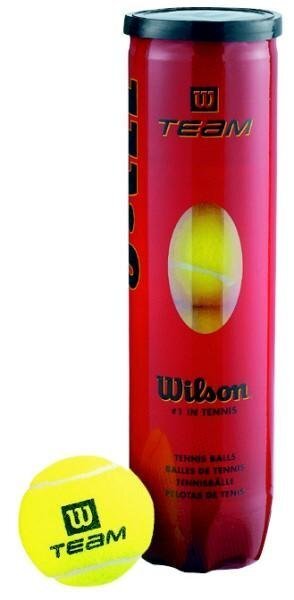 Lauko teniso kamuoliukai Wilson Team Practice 4 vnt. цена и информация | Āra tenisa preces | 220.lv