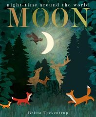 Moon: night-time around the world цена и информация | Книги для малышей | 220.lv