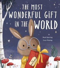 Most Wonderful Gift in the World cena un informācija | Grāmatas mazuļiem | 220.lv