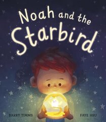 Noah and the Starbird cena un informācija | Grāmatas mazuļiem | 220.lv