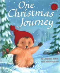 One Christmas Journey цена и информация | Книги для самых маленьких | 220.lv