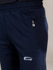Мужские спортивные штаны Cramp 25137 01, тёмно-синие цена и информация | Мужские брюки | 220.lv