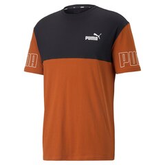 Puma мужская футболка 671567*64, коричневый/черный 4065449047531 цена и информация | Мужские футболки | 220.lv