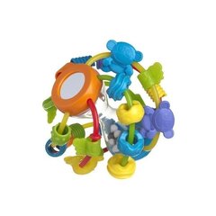 PLAYGRO развивающий мячИграй и учись, 4082679 цена и информация | Игрушки для малышей | 220.lv