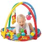 PLAYGRO bumbiņu aktivitāšu paklājs, 0184007 цена и информация | Attīstošie paklājiņi | 220.lv