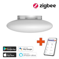 Viedā griestu lampa 60cm 3x E27 RGBW white (Zigbee) cena un informācija | Griestu lampas | 220.lv