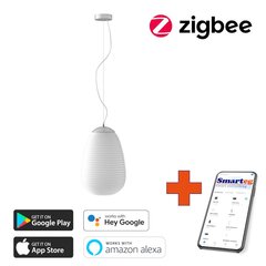 Потолочный светильник Viedā, 24x34см, E27, RGBW белый (Zigbee) цена и информация | Потолочные светильники | 220.lv