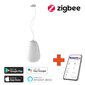 Viedā griestu lampa 24x34cm E27 RGBW white (Zigbee) cena un informācija | Griestu lampas | 220.lv