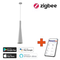 Умный потолочный светильник, E27, RGBW, белый (Zigbee) цена и информация | Потолочный светильник | 220.lv
