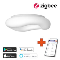 Gudra griestu lampa 60cm 40W white (Zigbee) cena un informācija | Griestu lampas | 220.lv