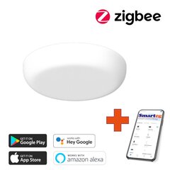 Умный потолочный светильник 18 см, 24 Вт, белый (Zigbee) цена и информация | Потолочные светильники | 220.lv
