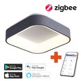 Gudra griestu lampa 45cm 36W black (Zigbee)