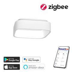 Умный потолочный светильник 60 см, 47 Вт, белый (Zigbee) цена и информация | Потолочный светильник | 220.lv