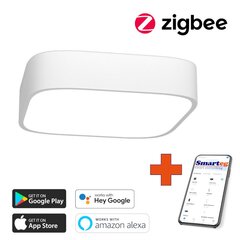 Gudra griestu lampa 45cm 36W white (Zigbee) cena un informācija | Griestu lampas | 220.lv