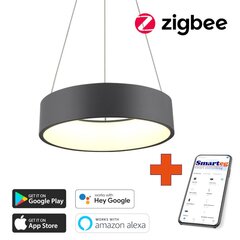 Gudra griestu lampa 60cm 39W black (Zigbee) cena un informācija | Griestu lampas | 220.lv