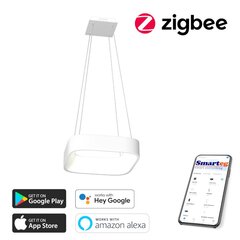 Умный потолочный светильник 45 см, 36 Вт, белый (Zigbee) цена и информация | Потолочные светильники | 220.lv