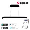 Gudra griestu lampa 120x30cm 66W black (Zigbee)