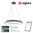 Gudra griestu lampa 60cm 39W white (Zigbee)