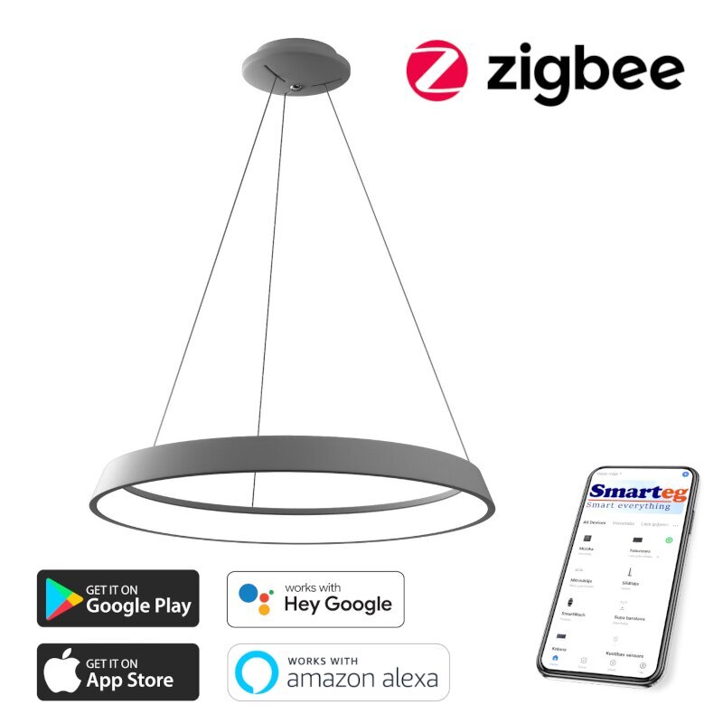 Gudra griestu lampa 60cm 39W white (Zigbee) cena un informācija | Griestu lampas | 220.lv