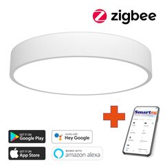 Gudra griestu lampa 60cm 50W white (Zigbee) cena un informācija | Griestu lampas | 220.lv