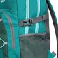 Tūrisma mugursoma vīriešiem Trespass UUACBAC10004 - ALBUS - CASUAL BACKPACK UUACBAC10004-OGR.EACH cena un informācija | Pārgājienu un ceļojumu mugursomas | 220.lv