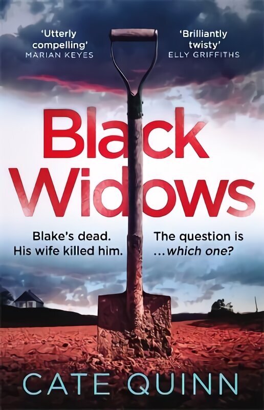 Black Widows: 'I could not put it down!' MARIAN KEYES Digital original cena un informācija | Fantāzija, fantastikas grāmatas | 220.lv