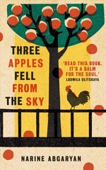 Three Apples Fell from the Sky: The International Bestseller цена и информация | Фантастика, фэнтези | 220.lv