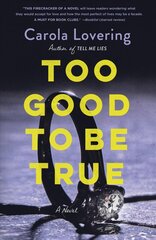 Too Good to Be True: A Novel cena un informācija | Fantāzija, fantastikas grāmatas | 220.lv