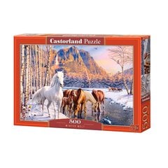 Castorland puzle Winter Melt 500 det cena un informācija | Puzles, 3D puzles | 220.lv